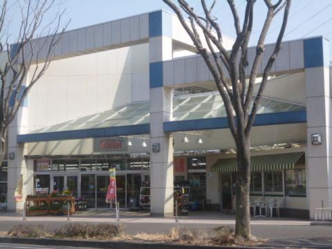 相鉄ローゼン山手台店(2013年3月)