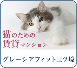 グレーシアフィット三ツ境