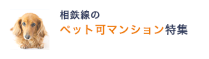 相鉄線の“ペット可マンション特集”