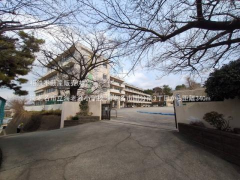 海老名市立海老名小学校(2025年3月)