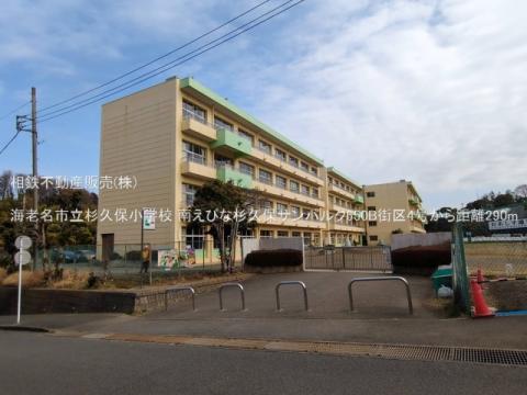 海老名市立杉久保小学校(2025年3月)