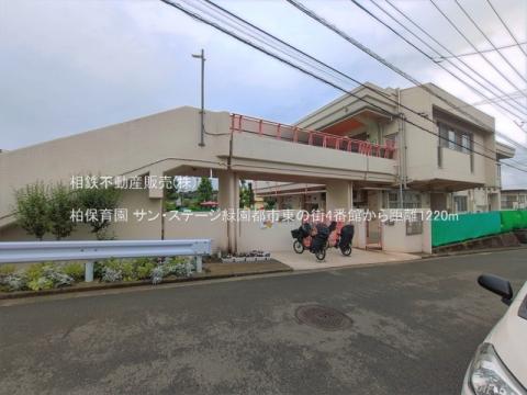 柏保育園(2026年6月)