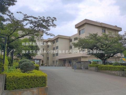 海老名市立杉本小学校(2026年6月)