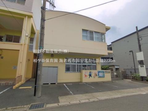 柏ケ谷保育園(2026年7月)