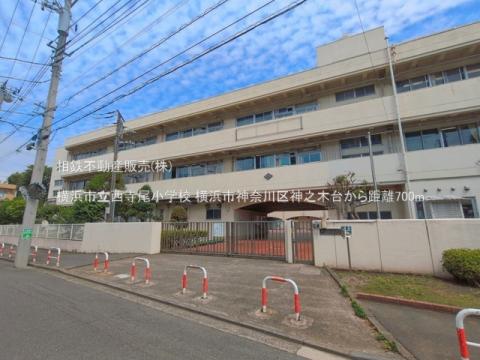 横浜市立西寺尾小学校(2026年6月)