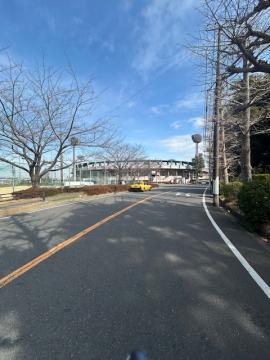 県立保土ヶ谷公園(2025年2月)