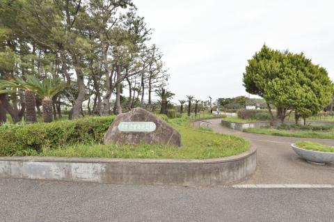 辻堂海浜公園(2025年5月)