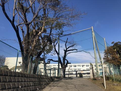 常盤台小学校(2020年2月)