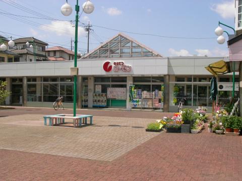 そうてつローゼン杉久保店(2012年4月)