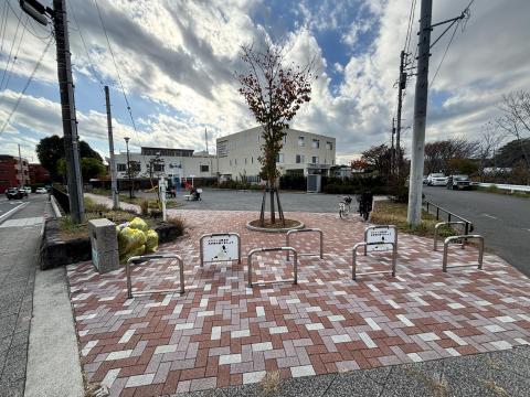 和泉中央北あやめ公園(2025年11月)