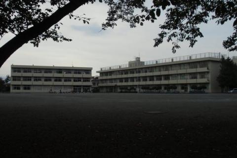 上星小学校
