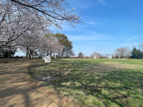 風車公園