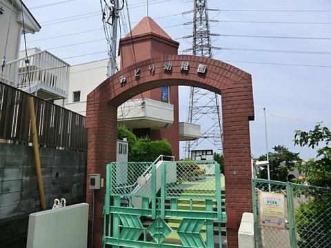 こども園みどり幼稚園
