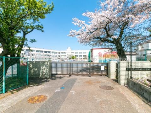 白根小学校