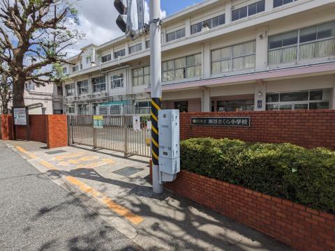 瀬谷さくら小学校(2023年8月)