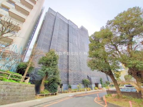 若葉台団地2-20号棟