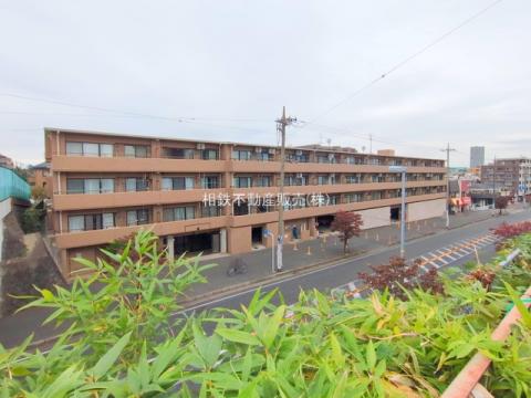 コスモつきみ野