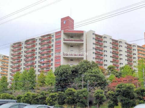 若葉台団地1-10号棟