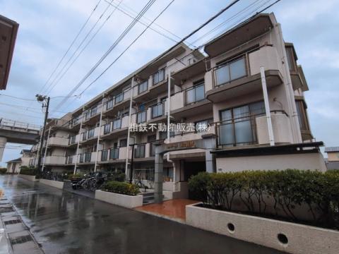 セザール第3厚木