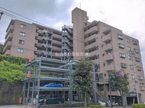 ルピナス四季の森公園