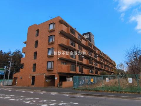 ライオンズマンション中央林間第6