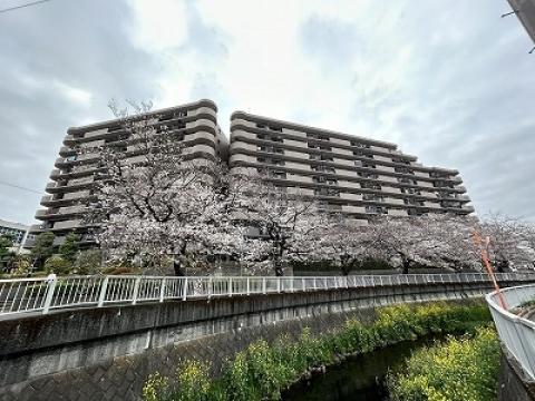 モア・ステージ桜ヶ丘