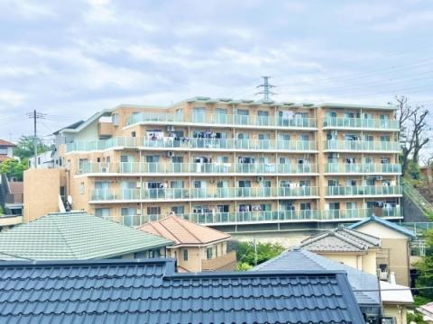 ノトスアゼリア戸塚
