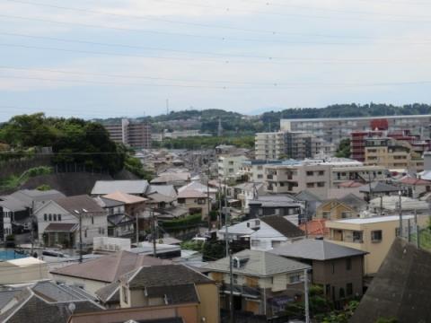 ノトスアゼリア戸塚