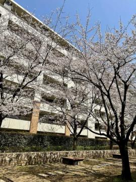 ＢＥＬＩＳＴＡ溝の口