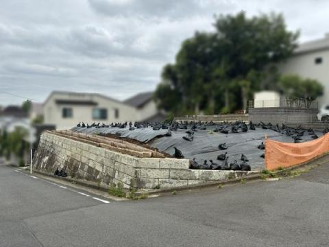 神奈川県横浜市青葉区美しが丘３丁目