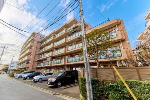 ナイスアーバン新川崎ステイツ