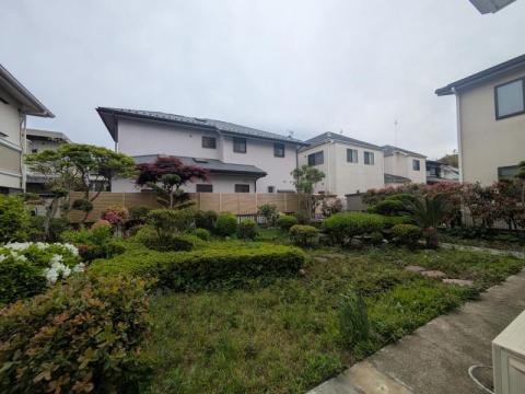 庭