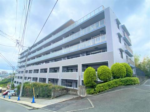 ゼファーヒルズトゥ横浜戸塚