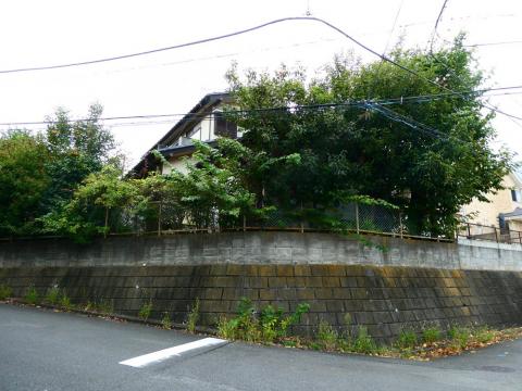 泉区岡津町売地