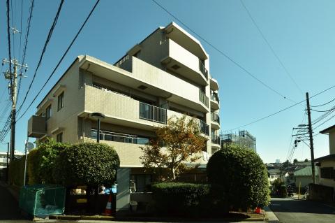 サングレイス上星川