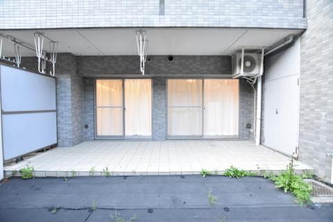 庭