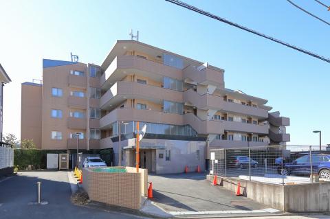 プリムローズ横浜藤棚